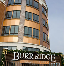 Burr Ridge Project